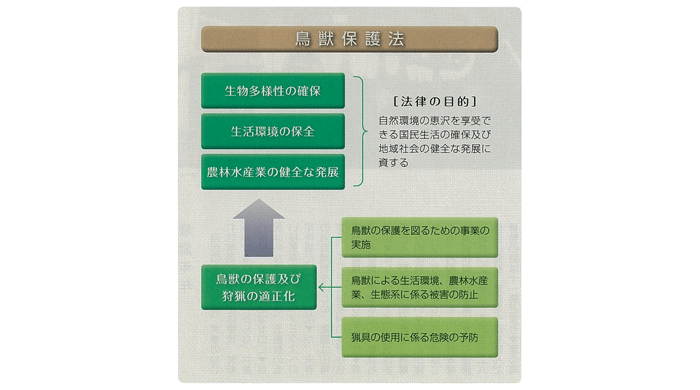 pestcontrol04