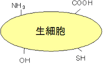 tec02